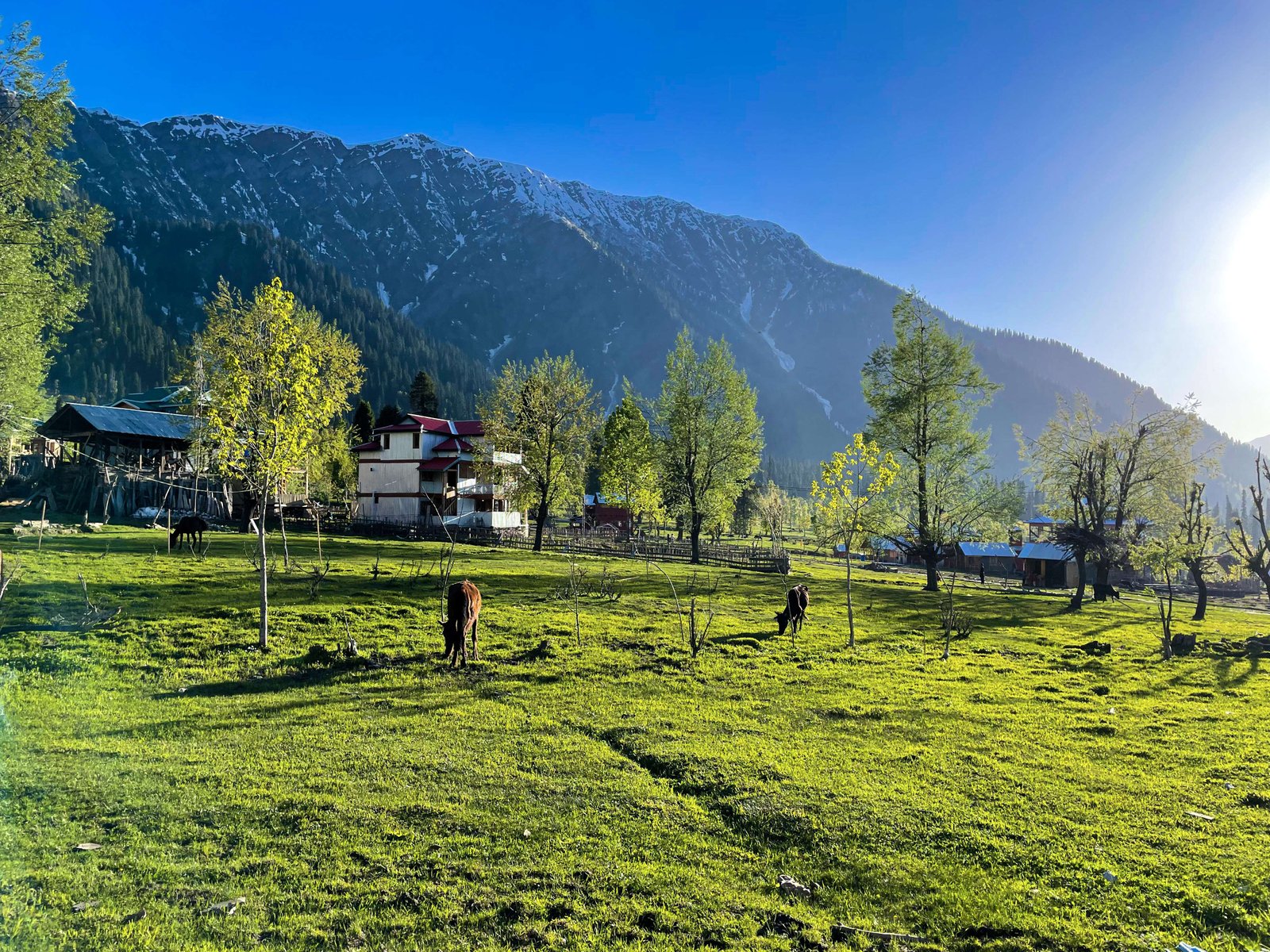 Delhi to Mussoorie Tempo Traveller